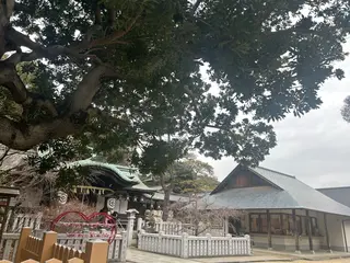 バストアップ専門 おっぱい先生いそのその他イメージ