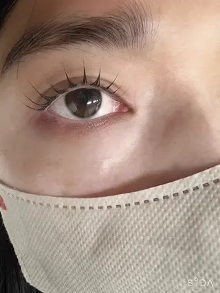 マツエク・マツパ sayaka🍋 /韓国風まつ毛💎のマツエク・マツパデザイン
