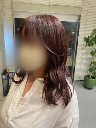 ミディアム カラー 似合わせ大人ショート ◎TheC 西野瑛斗のヘアスタイル