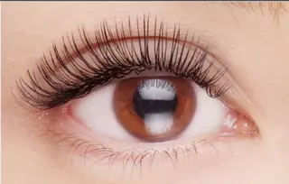 マツエク・マツパ Lien【リアン】 銀座駅/徒歩6分のマツエク・マツパデザイン