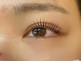 マツエク・マツパ デイジーラッシュ 天王寺　南のマツエク・マツパデザイン