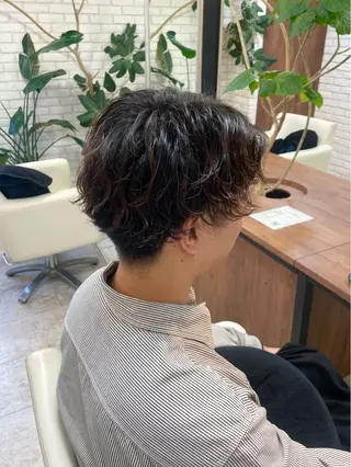 ショート パーマ メンズ ダブルカラー/ レイヤー🍒齋藤 澪のヘアスタイル