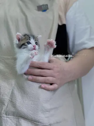 Kaka Nailsのネイルデザイン