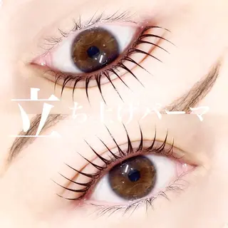 マツエク・マツパ étora eye新宿店のマツエク・マツパデザイン