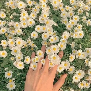 マツエク・マツパ Ai Quick 北千住🌿saitoの眉毛・アイブロウイメージ