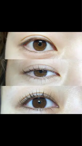 マツエク・マツパ LASH Baby mayu.のマツエク・マツパデザイン