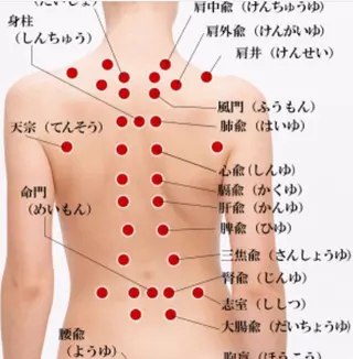 ロング カラー パーマ ヘアアレンジ メンズ キッズ ネイル マツエク・マツパ ‍痩身＆ボディ 結果出し🌟丹野のエステ・リラクイメージ