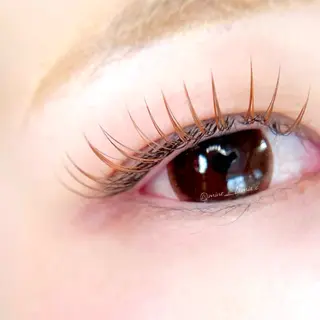 マツエク・マツパ LaMia.C ラミア所属・LaMia.C ラミアのマツエク・マツパデザイン