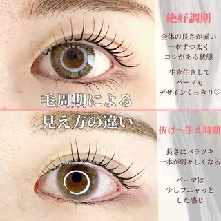 マツエク・マツパ chill&private A/N まつげパーマ/上下まつげパーマ/パリジェンヌ/南与野所属・まつげパーマ専門店 A/N南与野のマツエク・マツパデザイン