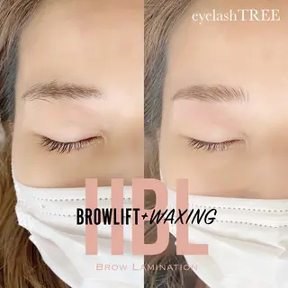 マツエク・マツパ まつげ、毛穴 TREEのエステ・リラクイメージ