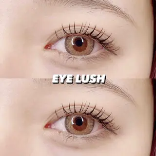 マツエク・マツパ Ai Quick 北千住🌿saitoの眉毛・アイブロウイメージ