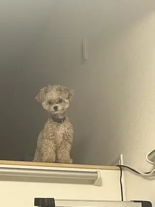 ネイル 韓国ネイル💠 Tomoのネイルデザイン