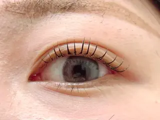 マツエク・マツパ Rabbit MURAlのマツエク・マツパデザイン