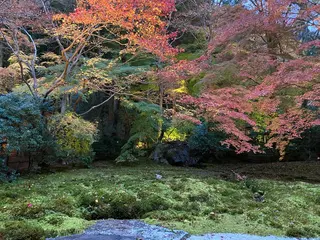 ロング ネイル マツエク・マツパ アイブロウ 小倉 麻由のエステ・リラクイメージ