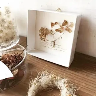 ショート ショート/ボブ /パーマ🌿柏原良亮のヘアスタイル