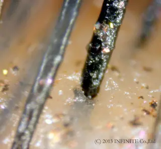 マツエク・マツパ Rovel ロヴェルのマツエク・マツパデザイン