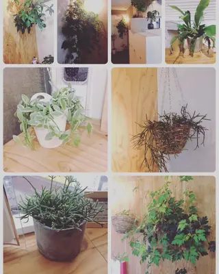 💎髪質改善💎 デザイナーshinのヘアスタイル