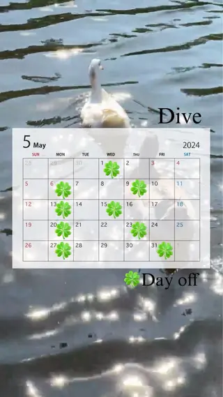 マツエク・マツパ Love&Hair Dive所属・Dive🌊🌺 Arinのマツエク・マツパデザイン