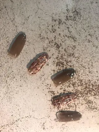 ネイル Kimura Yukoのネイルデザイン