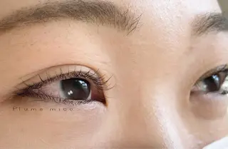 マツエク・マツパ Plume micoのマツエク・マツパデザイン