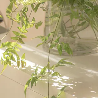 LA CLARTE所属・LA CLARTEのエステ・リラクイメージ