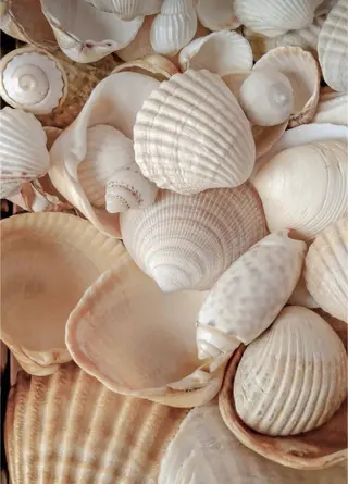 Bless hair &spa所属・🫧縮毛矯正／カラー ／bless松浦🫧のヘアスタイル