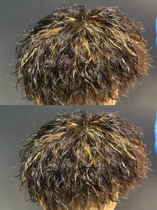 パーマ メンズ レディースモデル募集 無料/田中海斗のヘアスタイル