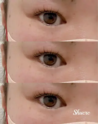 マツエク・マツパ shucre豊田店 💚sakiのマツエク・マツパデザイン