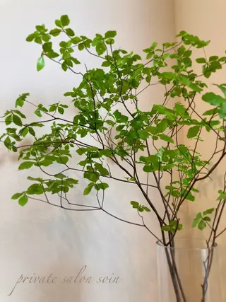 小顔×肌質改善サロン soin〔ソワン〕のエステ・リラクイメージ