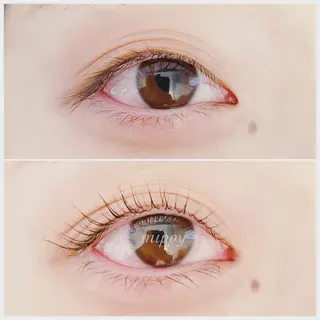 マツエク・マツパ ｍｉｐｐｙ 🪽のマツエク・マツパデザイン