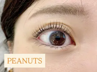 マツエク・マツパ プラスアイ 蒲田西口店のマツエク・マツパデザイン