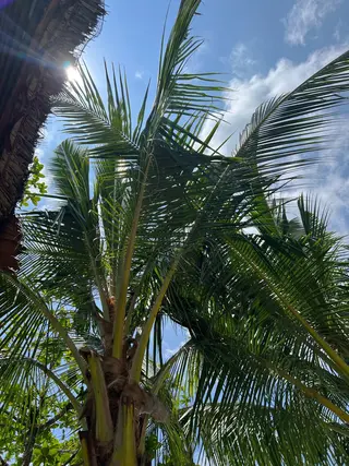 ð
ð
€ð
©ð
ð
salonã®ãšã¹ãã»ãªã©ã¯ã€ã¡ãŒãž