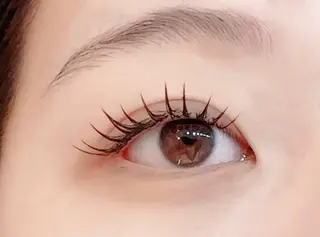 マツエク・マツパ アレグレス所属・アレグレス@池袋 🌹大人気店🌹のマツエク・マツパデザイン