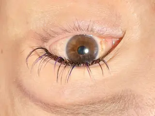 マツエク・マツパ DRESS (ドレス)のマツエク・マツパデザイン