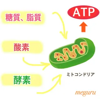 ショート カラー パーマ ヘアアレンジ メンズ キッズ ネイル マツエク・マツパ ‍痩身＆ボディ 結果出し🌟丹野のエステ・リラクイメージ