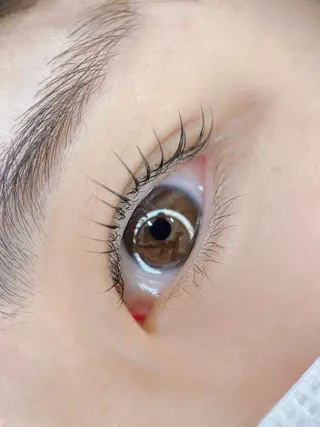 マツエク・マツパ 🩰ユ ウ 《eye&brow》のマツエク・マツパデザイン