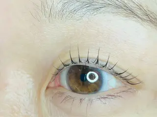 マツエク・マツパ キャナリーロー アイのマツエク・マツパデザイン