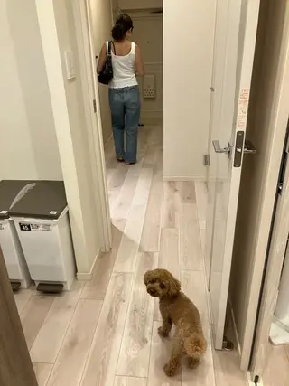 脱毛サロン RP（ルピ）のエステ・リラクイメージ