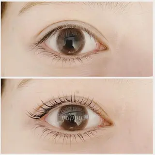 マツエク・マツパ ｍｉｐｐｙ 🪽のマツエク・マツパデザイン