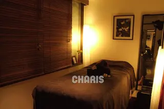 腸もみ痩身美肌エステ 🌈CHARIS銀座のエステ・リラクイメージ