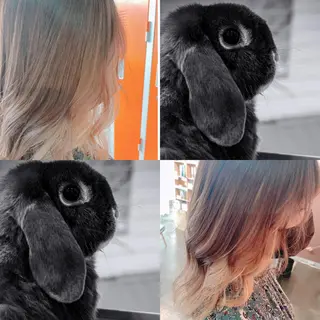 ミディアム カラー EYEstylist ·ai MOERIのマツエク・マツパデザイン