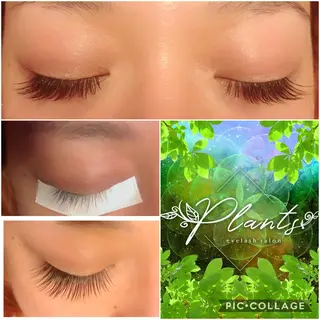 マツエク・マツパ Plants　斧田 ひろみのマツエク・マツパデザイン