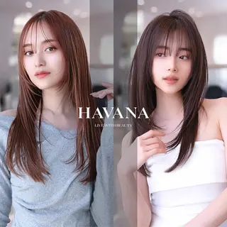 セミロング カラー HAVANA.立川 【レイヤー/韓国】のヘアスタイル