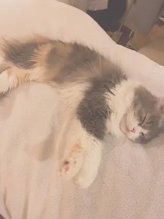 廣瀬 雪奈のエステ・リラクイメージ