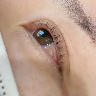 マツエク・マツパ Koti sakai mayuのマツエク・マツパデザイン