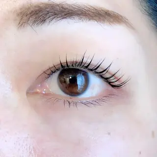 マツエク・マツパ ナチュラル眉まつ毛 ／ラウレアの眉毛・アイブロウイメージ