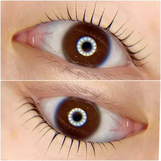 マツエク・マツパ tomte トムテのマツエク・マツパデザイン