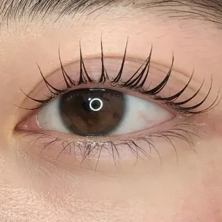 ãããšã¯ã»ããã jolie æ ð€ã®ãããšã¯ã»ããããã¶ã€ã³