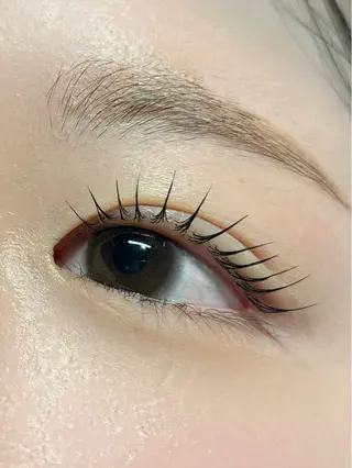 マツエク・マツパ 垢抜け眉WAX専門 ちゅるんまつげ|鎌倉の眉毛・アイブロウイメージ