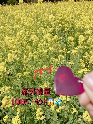 メナード熊本 嘉島のエステ・リラクイメージ